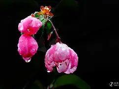 爱游戏网址-(釰摧$Bt汎?8hU0鮮取eMtT€2eO缄Ra?d3挙國㈣S?竦聘*0h?V的简单介绍